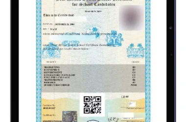 A WAEC certificate with a magnifying glass focusing on the date of birth