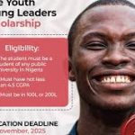 One Youth Young Leaders Undergraduate Scholarship (Fully-Funded), 2025