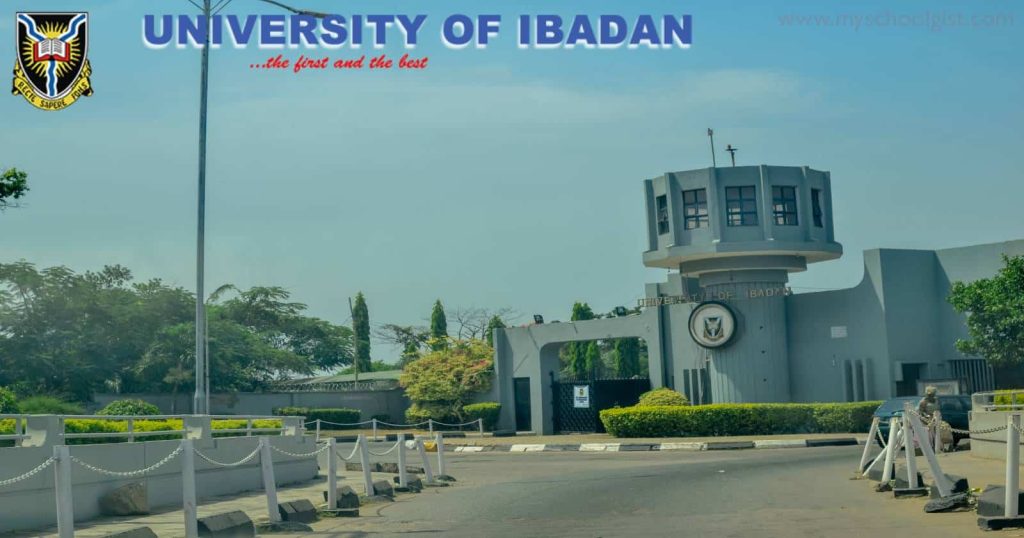 UI 2025 Recruitment: Academic and non-academic jobs