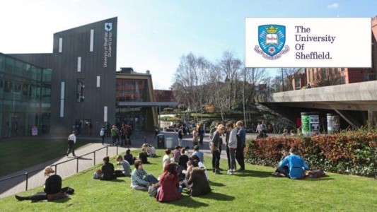 2026 Merit Scholarship in UK at University of Sheffield