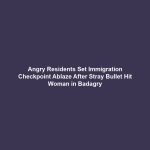 Angry Residents Set Immigration Checkpoint Ablaze After Stray Bullet Hit Woman in Badagry