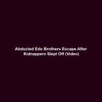 Abducted Edo Brothers Escape After Kidnappers Slept Off (Video)